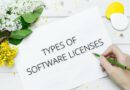 What are the 5 types of Software Licenses