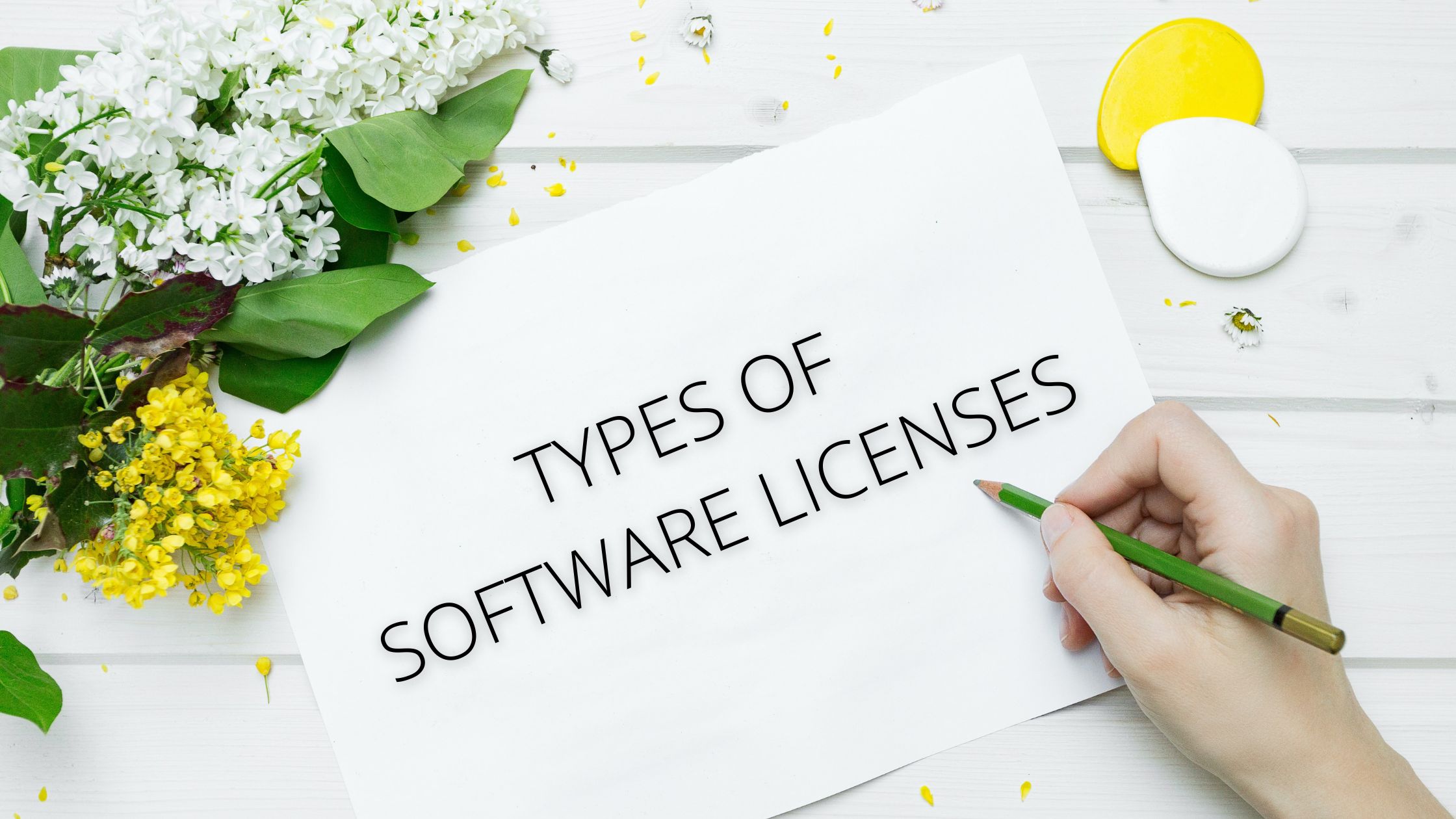 what-are-the-5-types-of-software-licenses