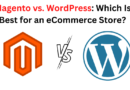 Magento vs. WordPress Which Is Best for an eCommerce Store
